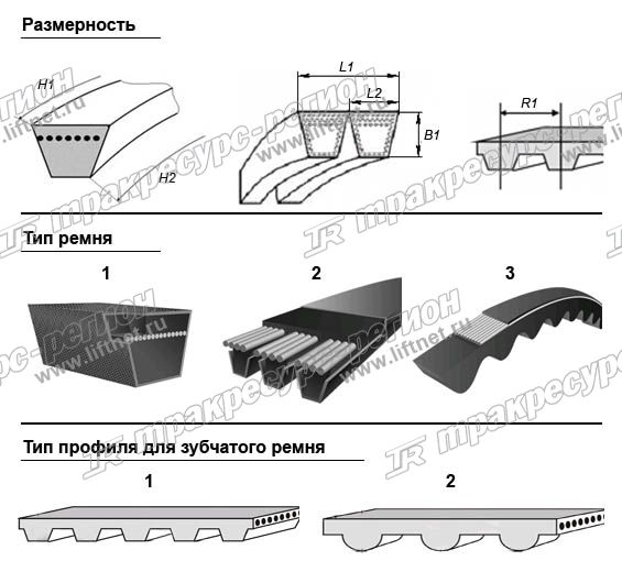 Ремень генератора 13032792